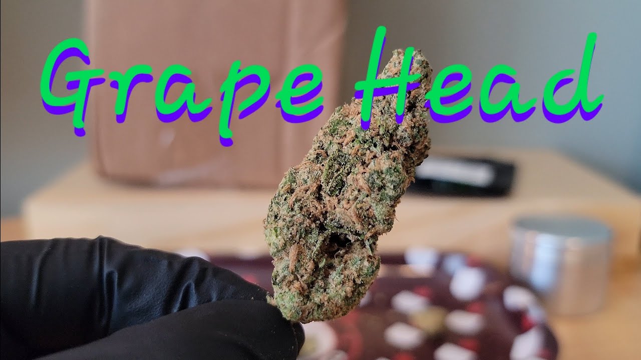 Grape Head - California Gold Farm - THCa Flower Review