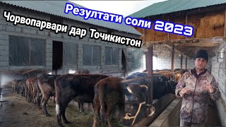 Чорвопарвари дар Точикистон результат дар соли 2023, #Дехконбача,  21 декабря 2023 г.