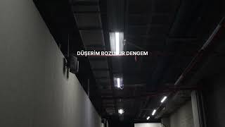 SHELBY - GAMSIZ (Lyrics/Sözleri) 