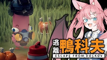 【 逃離鴨科夫 】怎麼突然就晚上了💦 ( 直播後轉會限 ) | Rluo Ch. 阿洛《 Escape from Duckov 》