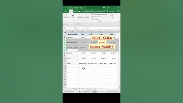 Insert New Row Between Records in Excel #shorts  #youtubeshorts  #shortsyoutube