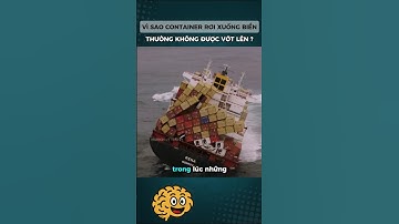 Vì sao Container rơi xuống biển thường không được vớt lên? #nghichlythuvi #kienthucthuvi #khampha