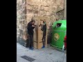 Valencia – urban art Valencia, trash art, graffiti video