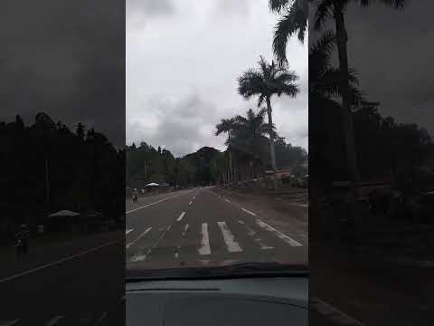 Shorts Youtubeshorts