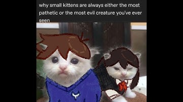 day 5 of p-ranking a random ultrakill level until I figure out my gender identity