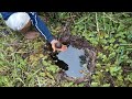 MENGUNDANG LEMBAT DI LUBANG DENGAN RAMUAN TRADISIONAL HASILNYA DI LUAR DUGAAN...