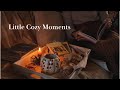 Cozy slow days of december   slow  gentle living during christmas time  cottagecore vintage ideas