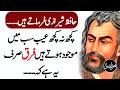 Hafiz shirazi quotes in urduhindi  famous quotes of hafiz shirazi  adbi writes