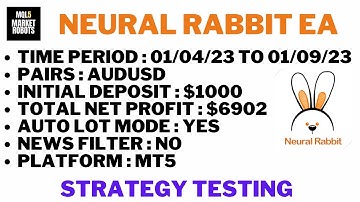 Neural Rabbit EA MT4 Forex Robot Strategy Testing | mql5 market robots