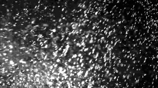 Free fullHD video effect, dust, particles, texture footage 01