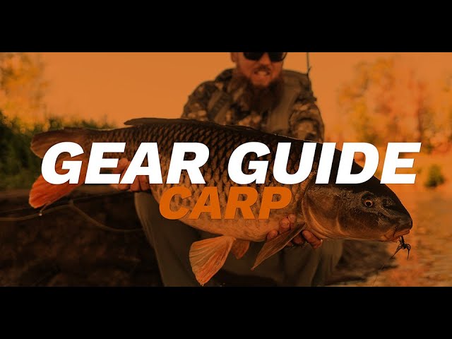 How to Fly Fish for Carp on the Denver South Platte // READING WATER with  Rick Mikesell 