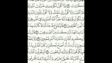 سورة هود 29-37 (٢٢٥)     Sheikh Anas AlHibri