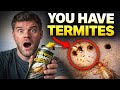 You Have Termites… and Don’t Know It