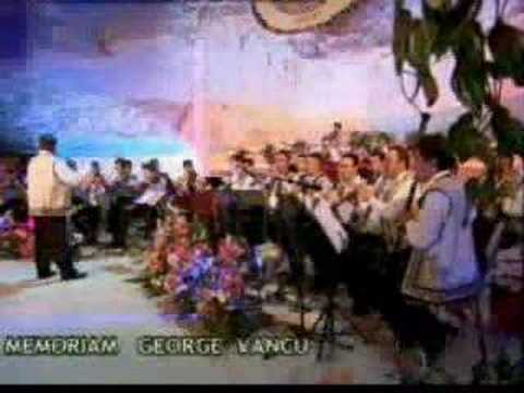 STELIAN STOICA- Strugurele de aur
