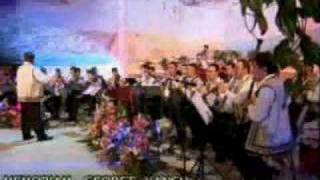 STELIAN STOICA- Strugurele de aur