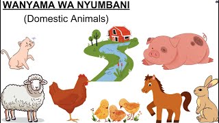 Wanyama wa nyumbani / Domestic animals/ Jifunze Kiswahili Wanyama wa nyumbani / Domestic animals/ Jifunze Kiswahili