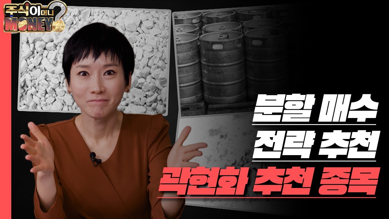 [주식이 머니?] 분할 매수 전략 추천…곽현화 추천 종목