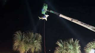 Cocoa Beach New Years Eve Shark Drop 2026