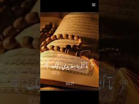 ادعو لإخوتنا في فلسطين