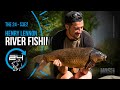 Carp Fishing with Henry Lennon - The 24 Series 3 - River Fishing