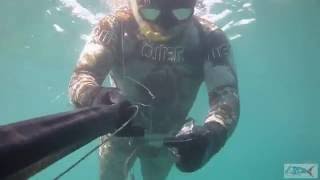 Pescasub Cefalo Catturato Allagguato - Claudio Basili