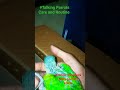 Indian Ringneck Baby Parrot Voice #baby #indian #ringneck #parrot #youtubeshorts #shorts #ytshorts