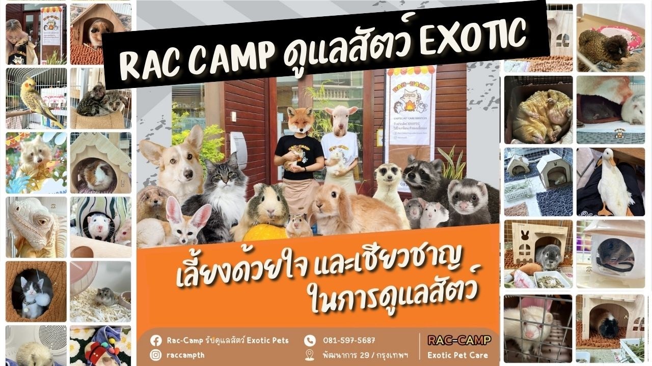 Сделано с душой: Rac Camp обеспечивает уход за экзотическими животными и кошками | Pet Lover by J...
