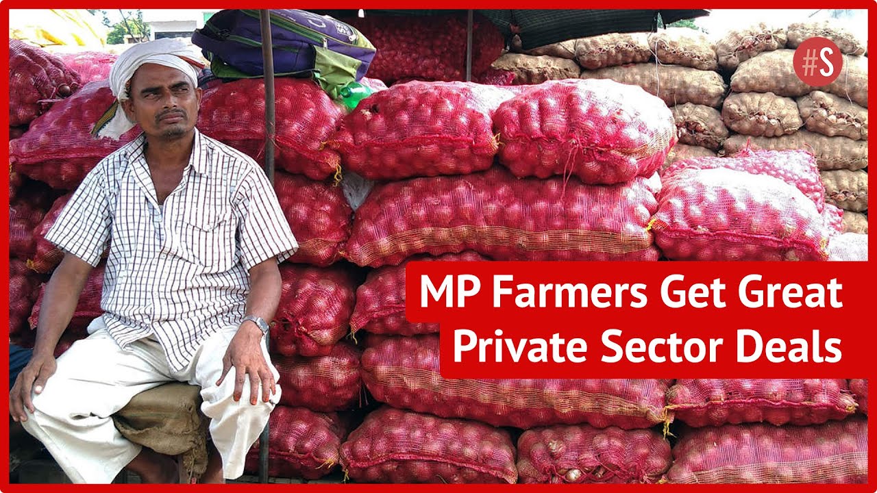 Prompt Payment, Better Price: Madhya Pradesh Farmers Choose Businessmen Over Mandis To Sell Produce