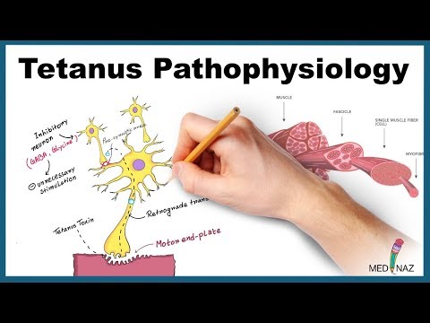 Video: I fysiologi hva er tetanus?