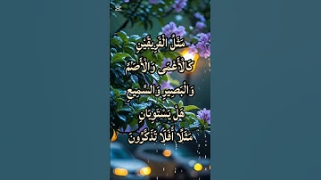 🌙 تلاوة تهزّ القلوب | سورة هود الآية 24 بصوت خاشع يُذكّرك بنور الإيمان 🌿