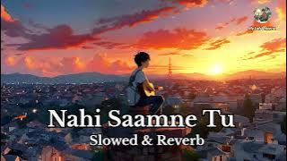 Nahi Saamne Tu | Hariharan | Sukhwinder Singh | Taal | Slowed and Reverb |