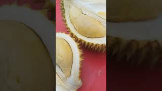 Durian Sarawak