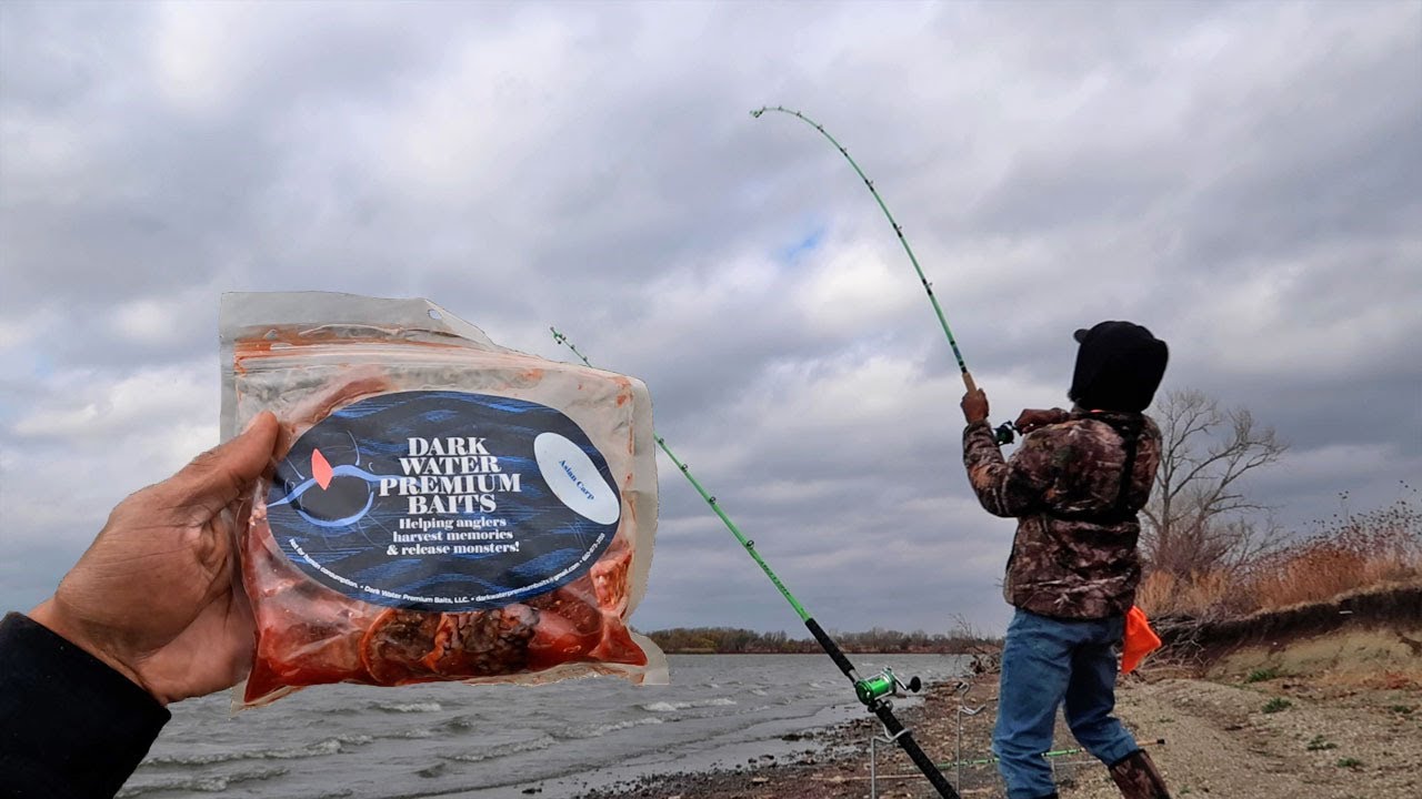 Trying A New Catfish Bait! (Bank Fishing) YouTube