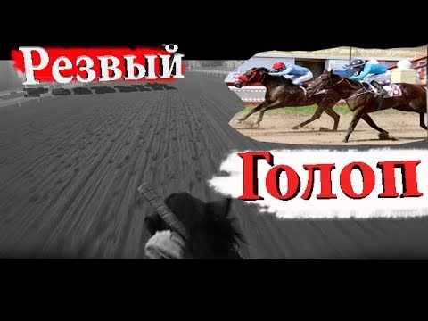Вопрос: Как тренировать лошадь?