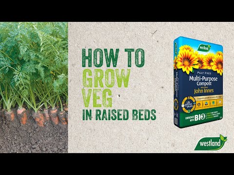 How to grow veg in raised beds