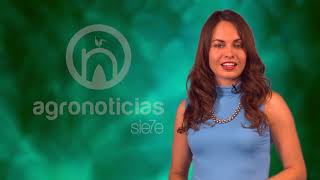 TITULARES AGRONOTICIAS sie7e PROGRAMA 95