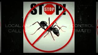 Pest Control Salinas CA-(888) 458-0008