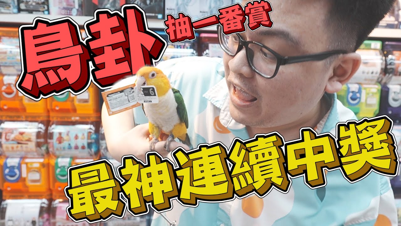 【作弊鳥卦抽一番賞！神準到老闆灰心】第一次相信算命，連續中獎到不可思議【yAn系列956】