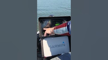 LiveScope for catching crappie