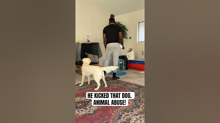 The People Who Let Their Dogs Eat From Their Mouth