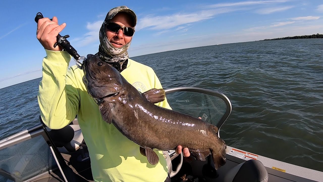 12lb Catfish Lake St. Clair Jerkbait Fishing 