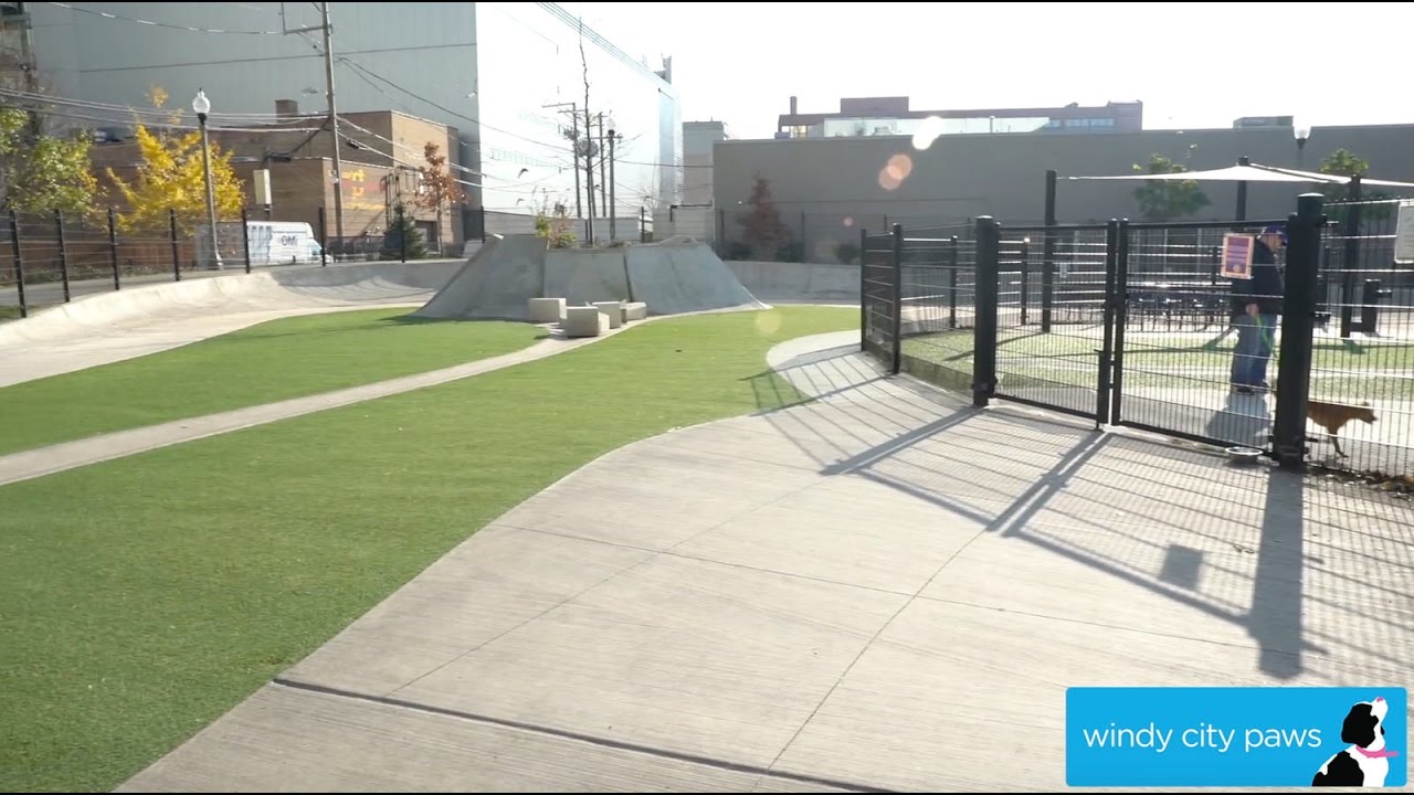 Fred Anderson Dog Park Chicago Dog Friendly Area YouTube