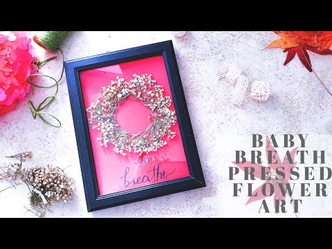 How To Make Baby&rsquo;s Breath Pressed Flower Framed Art || Herbarium Wall Decoration