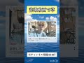 元気のない人間とは思えない返信で笑った #論破 #music