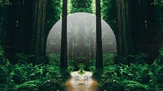 UOAK - Trails (Extended Mix)