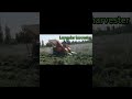 Lavender harvester