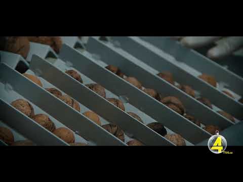 ქრონიკა 20:30-ზე 10-12-2019