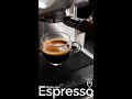 Single Shot vs Double Shot Espresso | Sage Barista Express #shorts