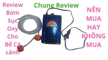 Review sục oxy giá rẻ