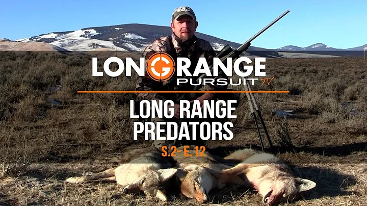 Long Range Pursuit | S2 E12 Long Range Predators